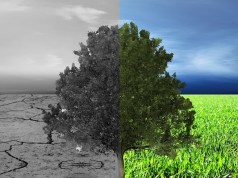 New Zealand Introducing World’s First Climate Legislation For Finance Firms