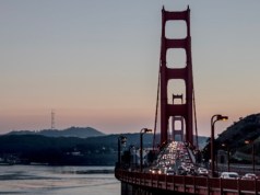 Real Estate Developer Danny Haber Of oWOW Reinvigorates Bay Area